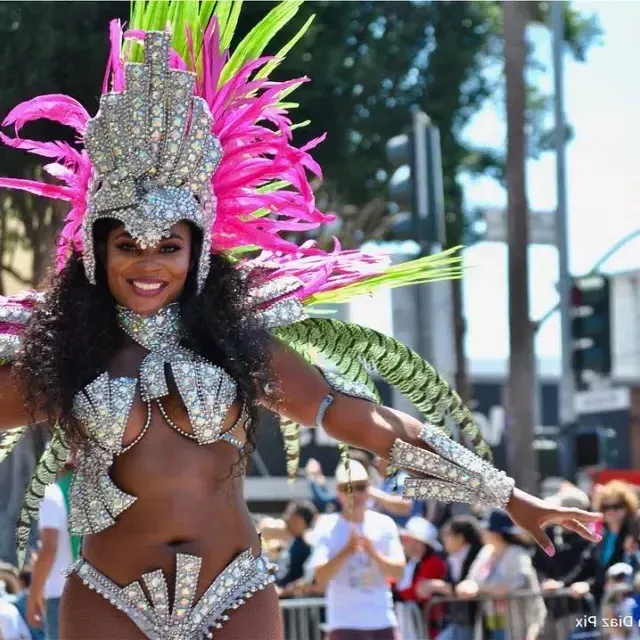 Carnaval dancer in the 任务