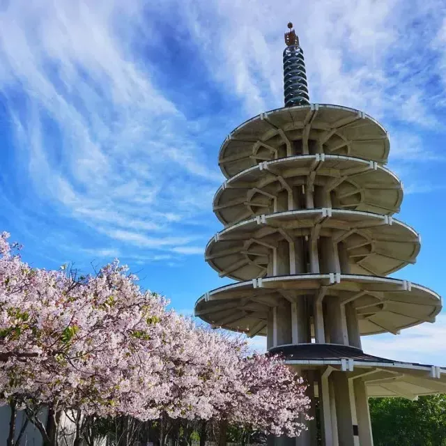 的 Peace Pagoda in 结合